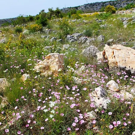 Zlatno Sunce In The Hills Near Trogir Villa Vrsine