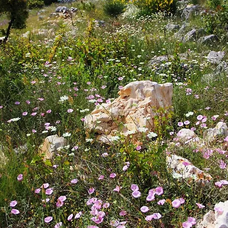 Zlatno Sunce In The Hills Near Trogir Villa Vrsine