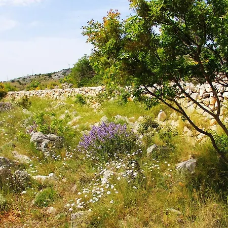 Zlatno Sunce In The Hills Near Trogir *